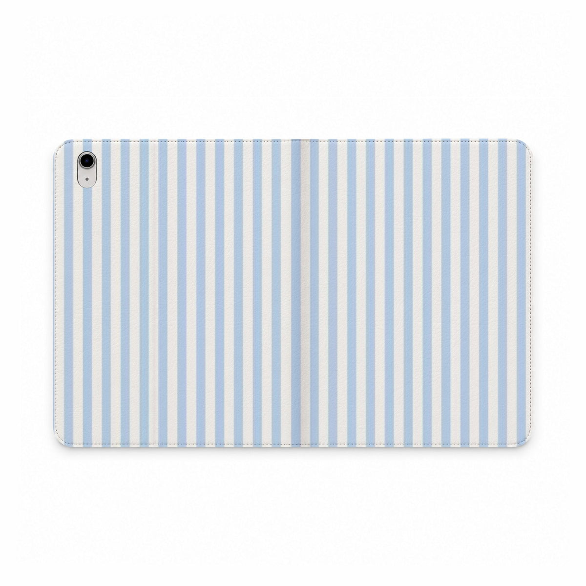 Blue Stripe Portfolio case