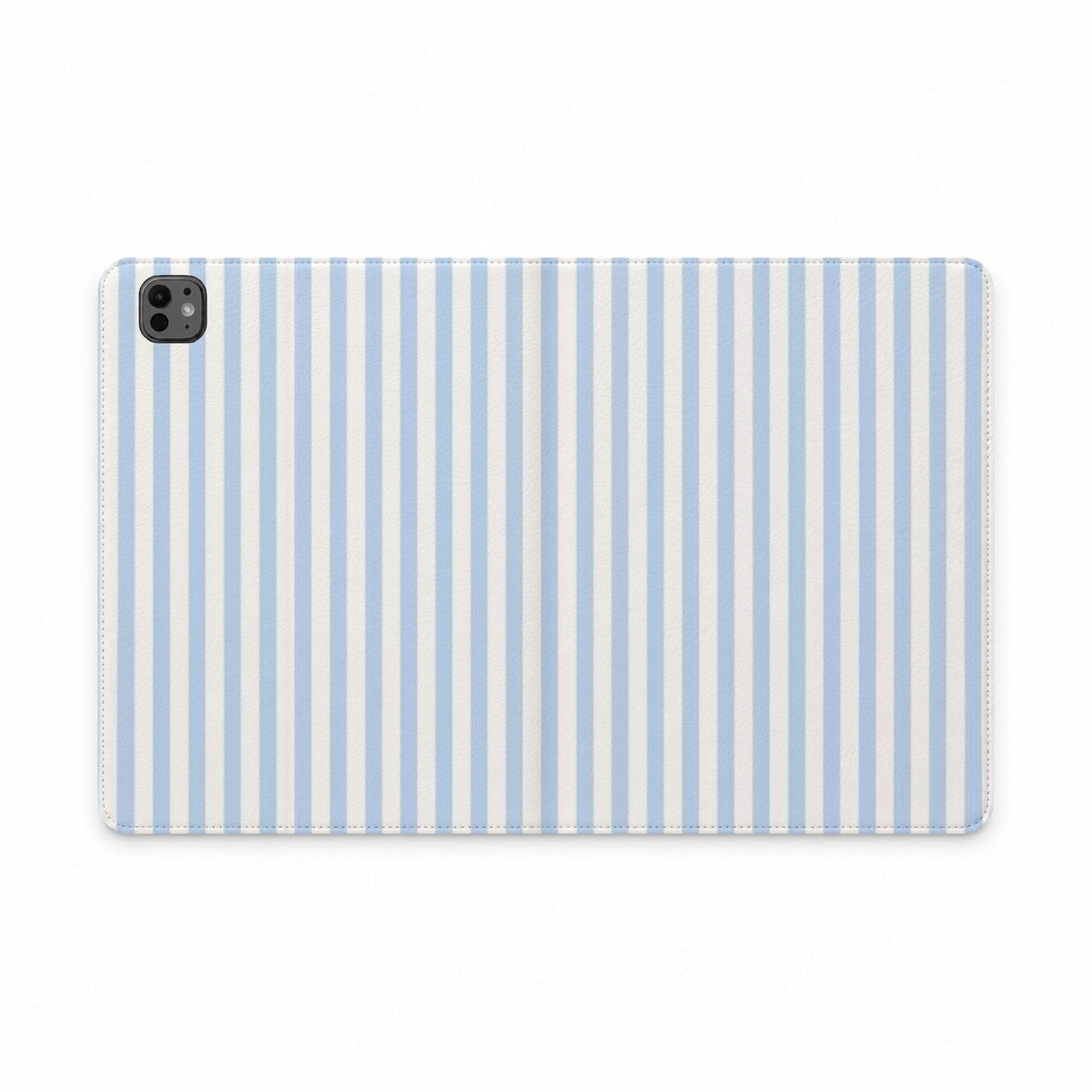 Blue Stripe Portfolio case