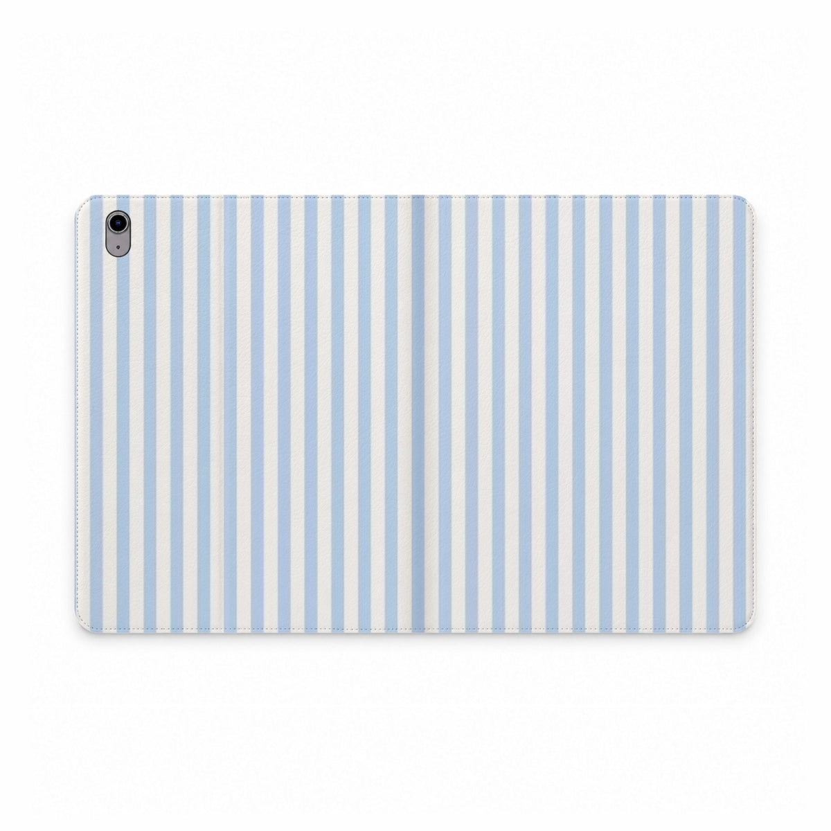 Blue Stripe Portfolio case