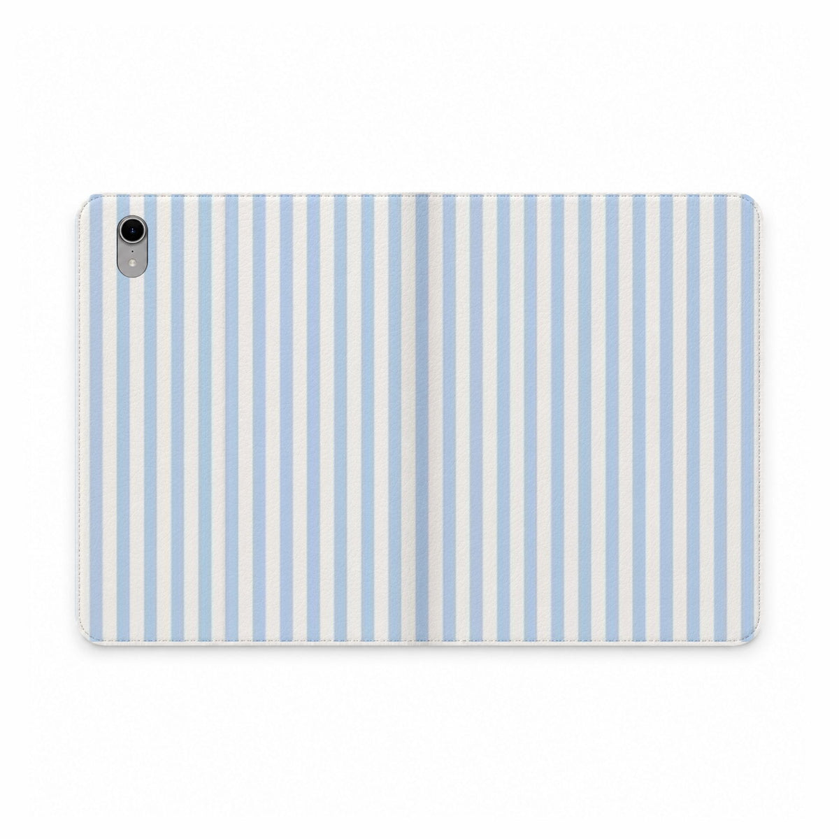Blue Stripe Portfolio case