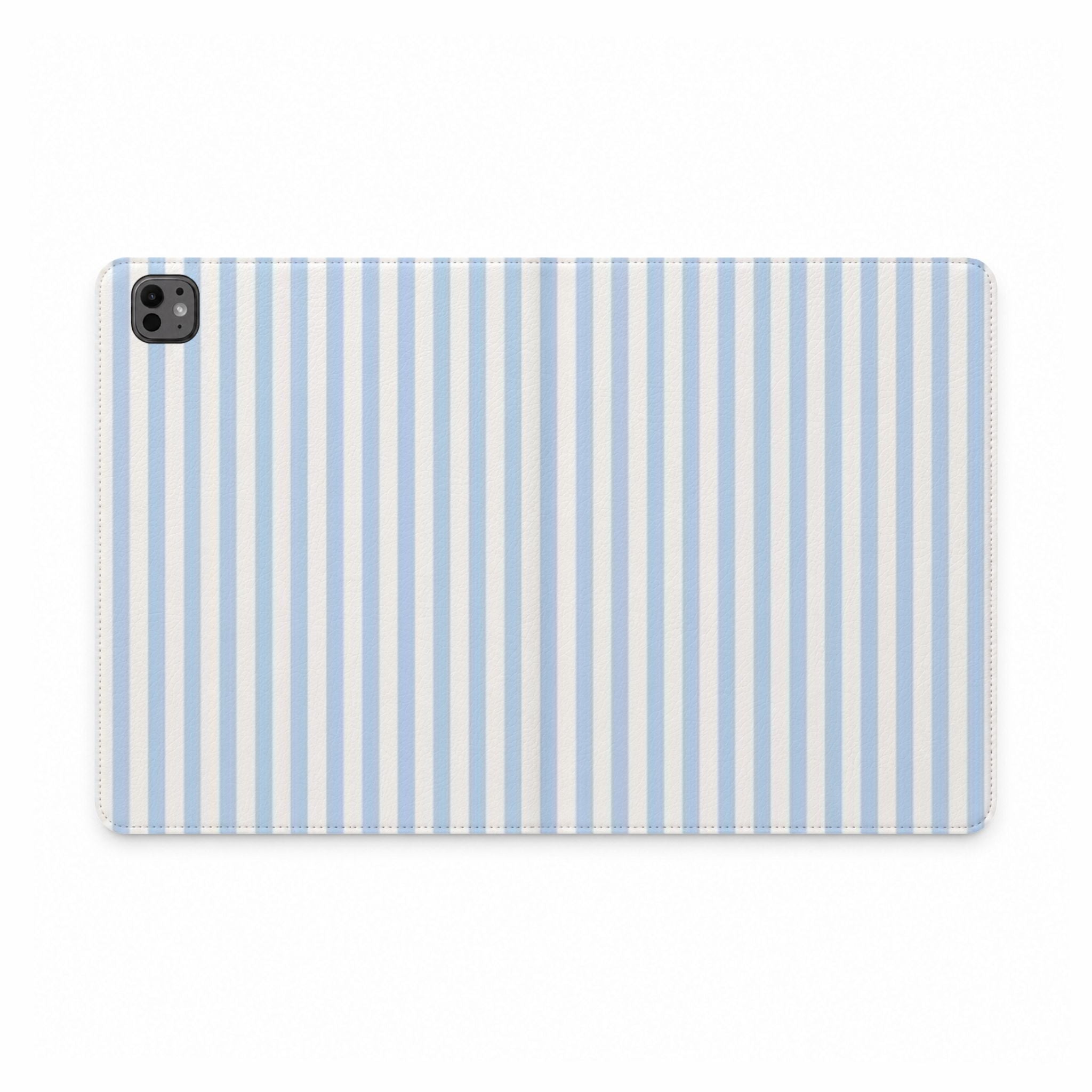 Blue Stripe Portfolio case