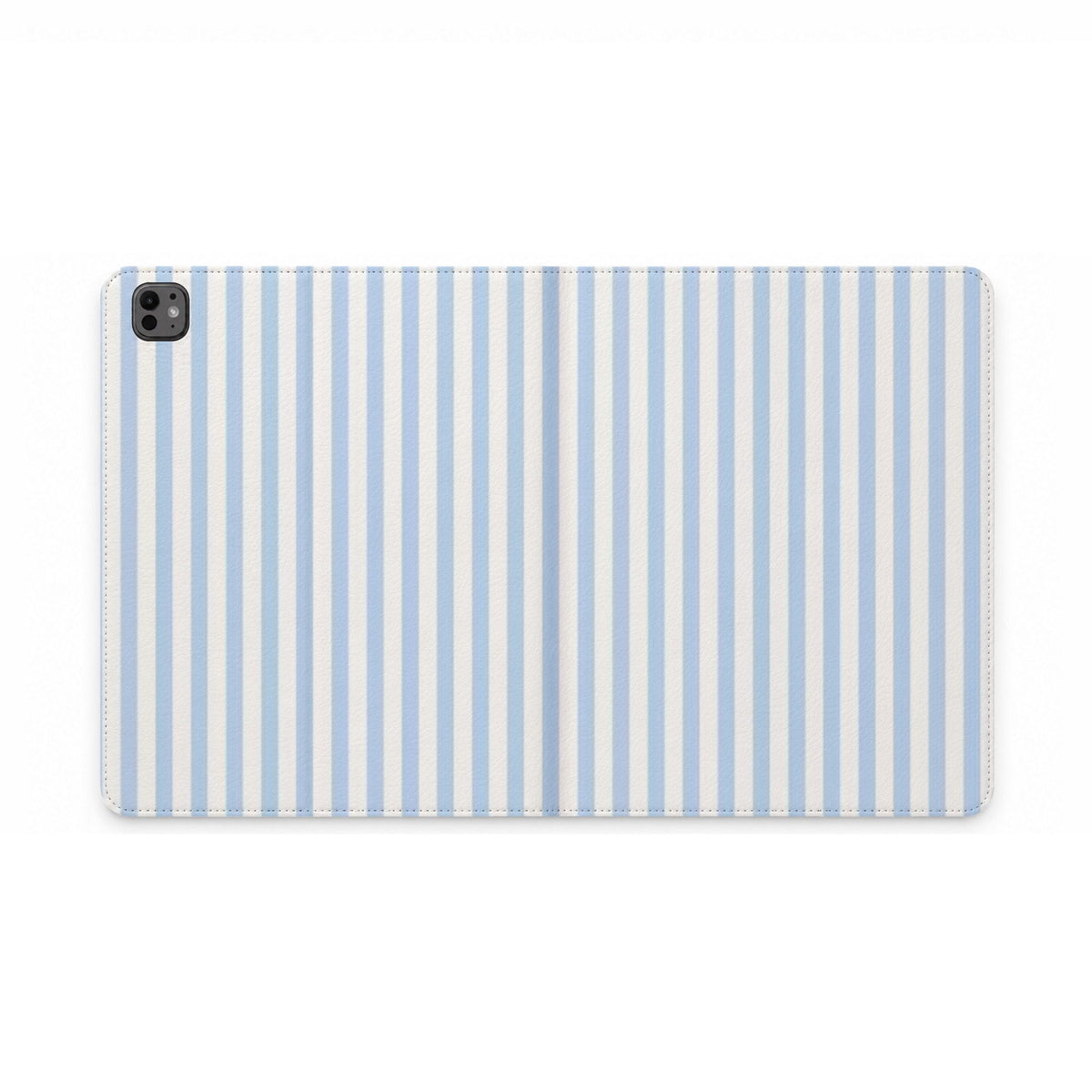 Blue Stripe Portfolio case