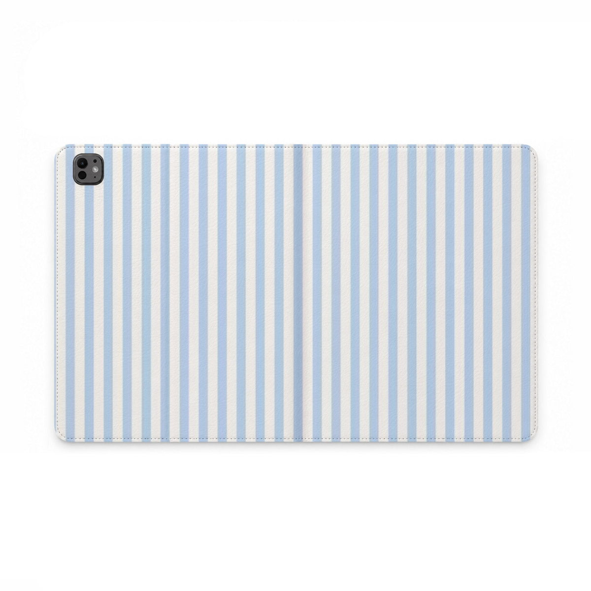 Blue Stripe Portfolio case