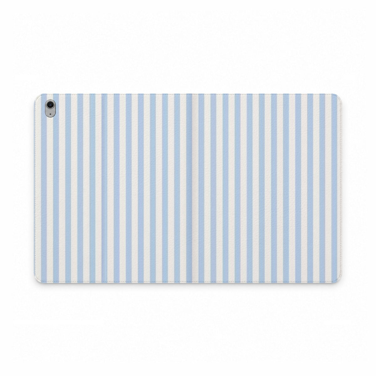 Blue Stripe Portfolio case